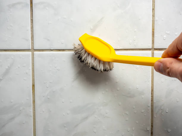 Best Local Mold Removal Service  in Murrells Inlet, SC