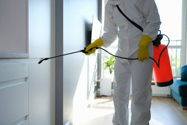 Best Residential Mold Removal  in Murrells Inlet, SC